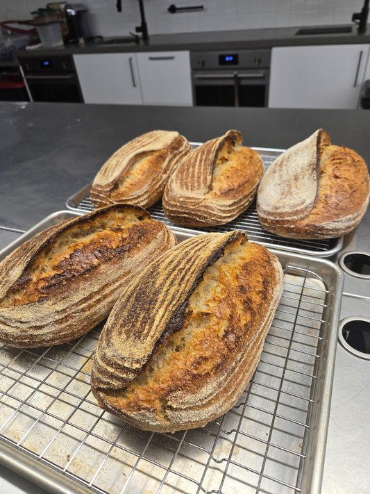 Sourdough Bread – Artisanal Loaf